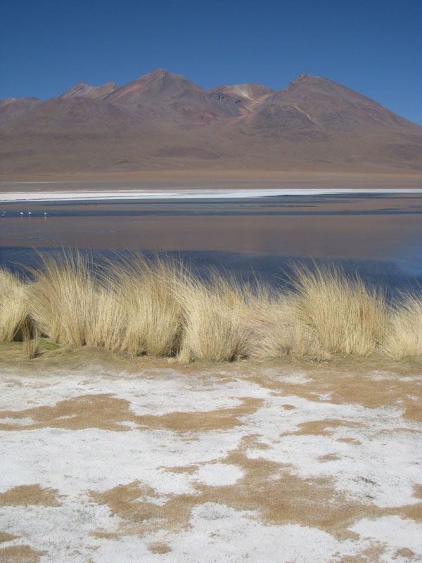 Bolivia Salar de Uyuni