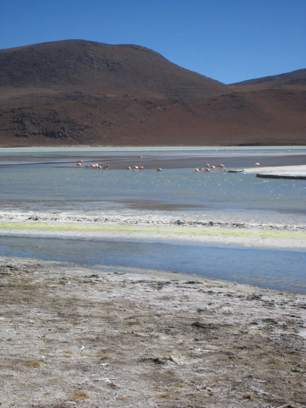 Bolivia Salar de Uyuni